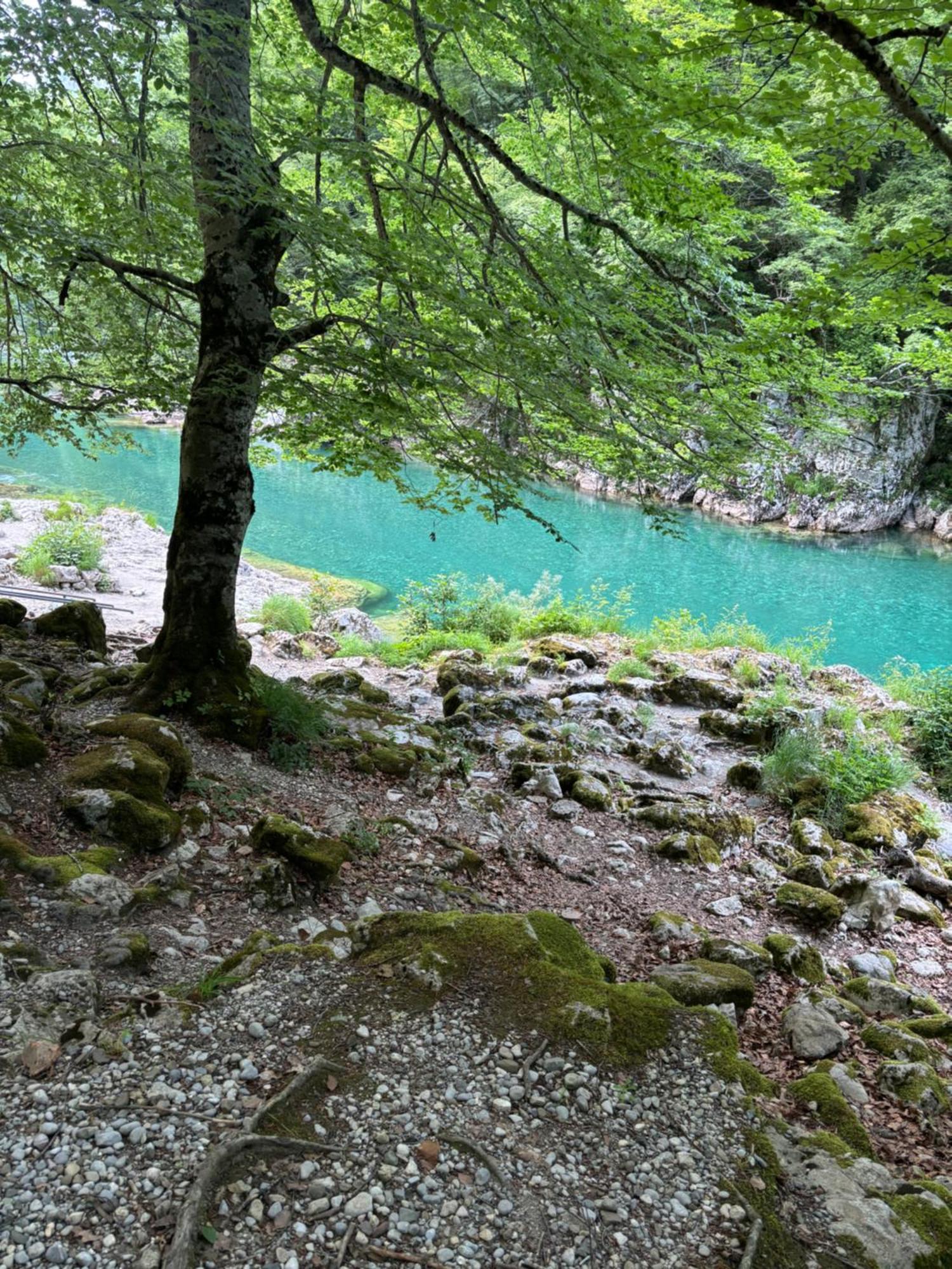 Holiday Home ,,Lazar" Žabljak Eksteriør billede