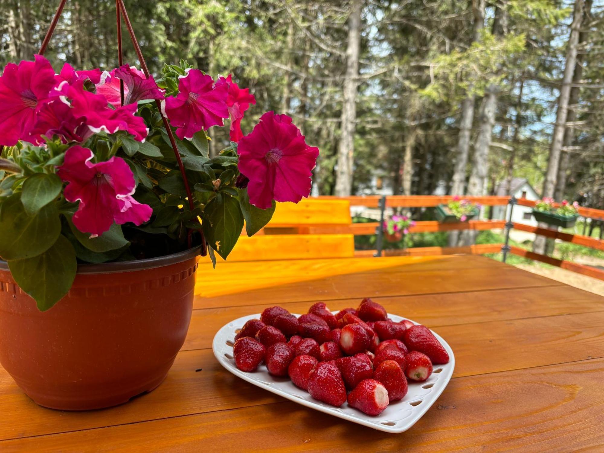 Holiday Home ,,Lazar" Žabljak Eksteriør billede